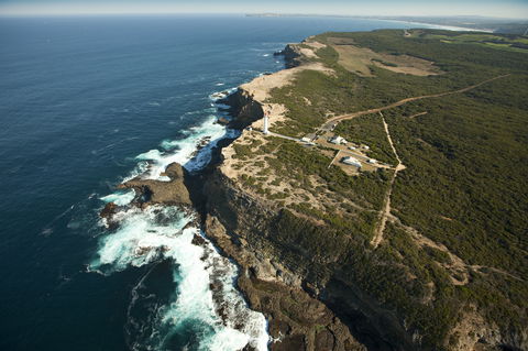 Cape Nelson State Park - Great Ocean Road Tourism 1
