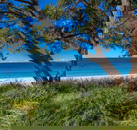 Collingwood Beach - Great Ocean Road Tourism