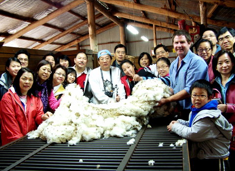 Curringa Farm - Accommodation And Farm Tours - Great Ocean Road Tourism 2