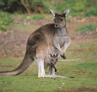 Donnelly River