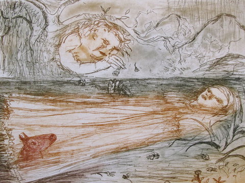 Falls Gallery - Great Ocean Road Tourism 0