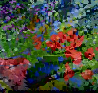 Ferry Artists Gallery - Great Ocean Road Tourism