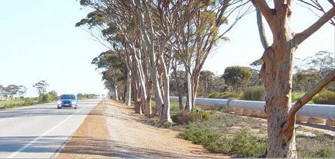 Golden Pipeline Heritage Trail - Great Ocean Road Tourism 0