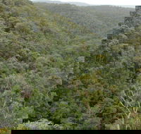 Granite Falls walking track - Great Ocean Road Tourism