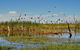 Gwydir Wetlands Moree - thumb 1