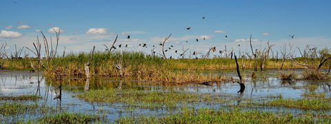 Gwydir Wetlands Moree - Great Ocean Road Tourism 1