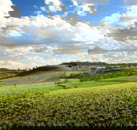 Hodgson Vale - Great Ocean Road Tourism