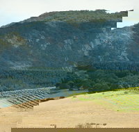 Langi Ghiran State Park - Great Ocean Road Tourism