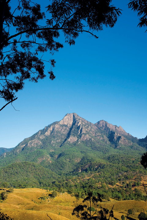 Mount Barney National Park - Great Ocean Road Tourism 1