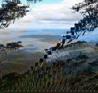 Mount Imlay National Park - Great Ocean Road Tourism