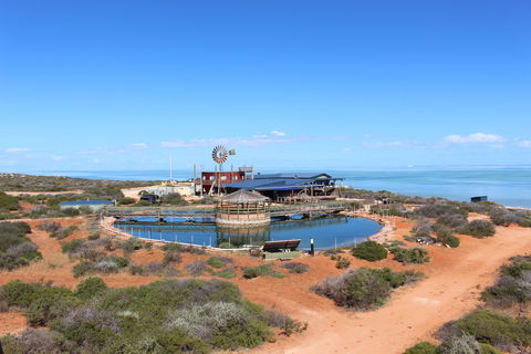Ocean Park Aquarium - Great Ocean Road Tourism 1