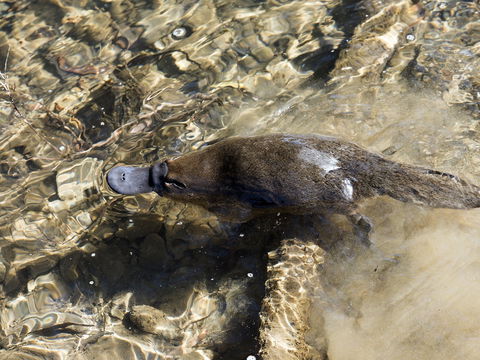 Orara River - Great Ocean Road Tourism 1