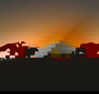 Outback Pony Rides Farm Experience - Great Ocean Road Tourism