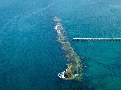 Port Noarlunga Reef Sanctuary Zone - Encounter Marine Park - Great Ocean Road Tourism 0