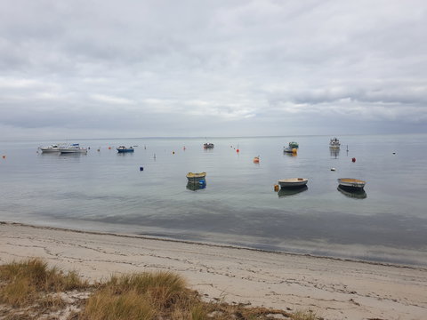 Rosebud Beach - Great Ocean Road Tourism 1