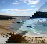Snorkelling Mystery Bay - Great Ocean Road Tourism