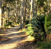 Square Head Track 2 - Great Ocean Road Tourism