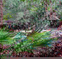 Sugar Creek Picnic Area - Great Ocean Road Tourism