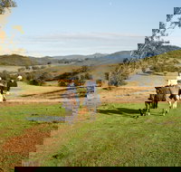 Tamworth and Kootingal Horse Riding Adventures - Great Ocean Road Tourism