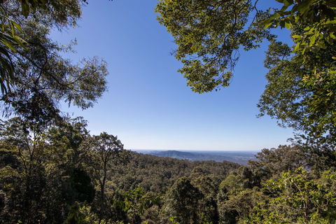 Thylogale Track - Great Ocean Road Tourism 2