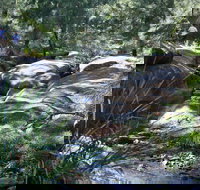 Towarri National Park - Great Ocean Road Tourism