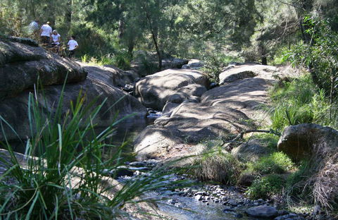 Towarri National Park - Great Ocean Road Tourism 0