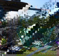 Trees Adventure - Lane Poole Park - Great Ocean Road Tourism