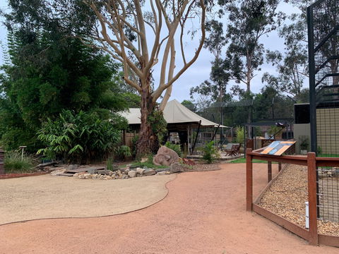 Zambi Wildlife Retreat - Great Ocean Road Tourism 2