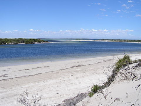 Acraman Creek Conservation Park - Great Ocean Road Tourism 0