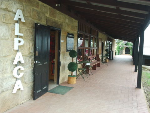 Australian Alpaca Barn - Pokolbin - Great Ocean Road Tourism 0