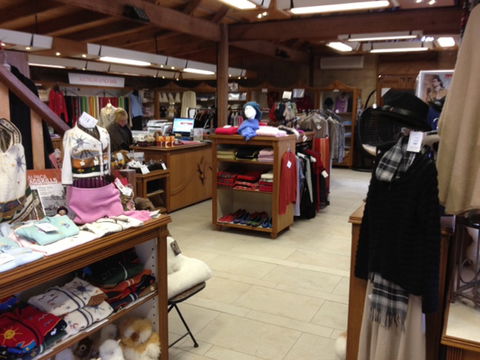 Australian Alpaca Barn - Pokolbin - Great Ocean Road Tourism 1