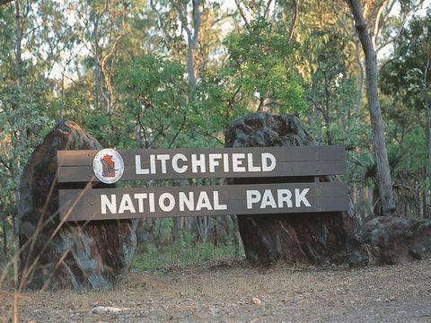 Bamboo Creek Tin Mine - Great Ocean Road Tourism 1