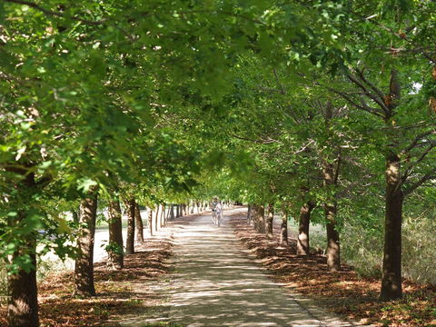 Beechworth To Everton Station 16km - Great Ocean Road Tourism 1