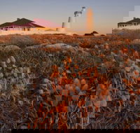 Cape Willoughby Heritage Trail - Great Ocean Road Tourism