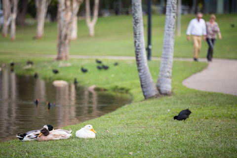 Centenary Lakes Park - Great Ocean Road Tourism 2