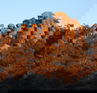 Evans Crown Nature Reserve - Great Ocean Road Tourism