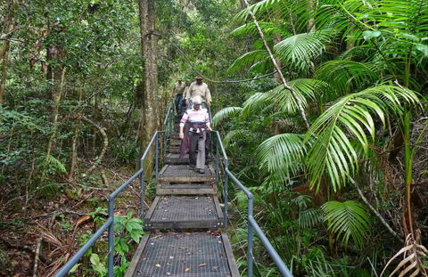 Falls Walking Track - Great Ocean Road Tourism 0