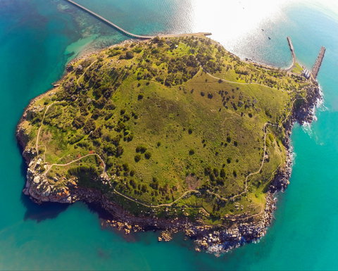 Granite Island Recreation Park - Great Ocean Road Tourism 1