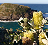 Green Island Walking Track