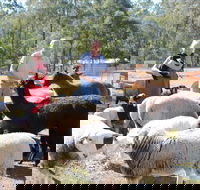 Haigslea EWE Nique Hobby Farm - Great Ocean Road Tourism