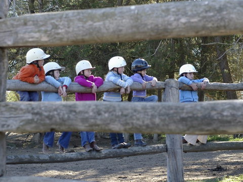 Harlow Park Horse Riding - Great Ocean Road Tourism 0