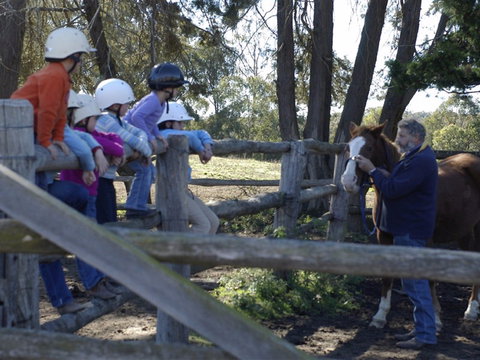 Harlow Park Horse Riding - Great Ocean Road Tourism 2