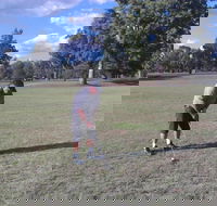 Inverell Golf Club - Great Ocean Road Tourism