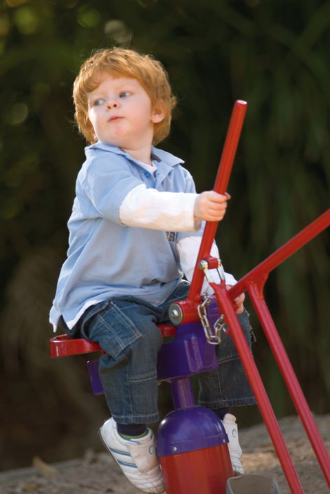 Kadina Park - Great Ocean Road Tourism 0