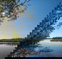 Karuah River National Park and Nature Reserve - Great Ocean Road Tourism