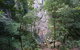 Kondalilla Falls Circuit, Kondalilla National Park - thumb 0