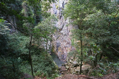 Kondalilla Falls Circuit, Kondalilla National Park - Great Ocean Road Tourism 0