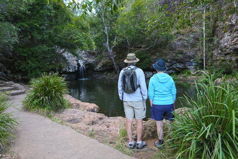 Kondalilla Falls Circuit, Kondalilla National Park - Great Ocean Road Tourism 1