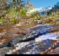Little Dandahra Creek Walking Track - Great Ocean Road Tourism