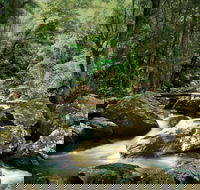 Maleny - Great Ocean Road Tourism